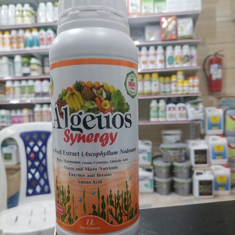 کود کشاورزی آلجیوس سینرژی Algeuos Synergy فسفر بالا یک لیتری، ردسا اسپانیا