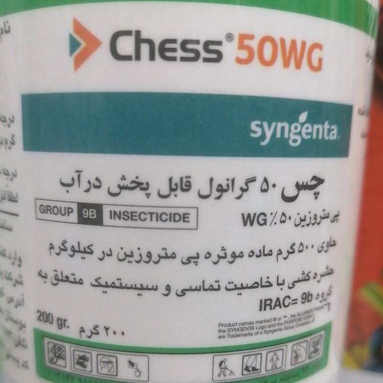سم کشاورزی حشره کش سیستمیک چس سینجنتا برای مبارزه با آفات مکنده Chess syngenta، کره جنوبی 200 گرمی