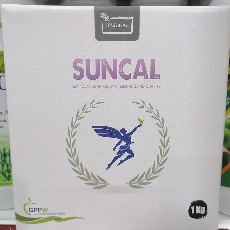کود گیاهی سانکال SUNCAL جهت درشت کردن میوه و بهبود کیفیت میوه، شرکت GPPW ایتالیا، یک کیلویی