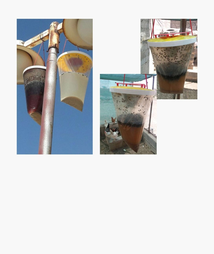 تله مگس گیر فلای فیکس Fly Fix تیدا سلامت ایرانیان