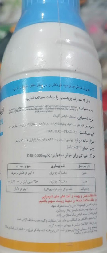 قارچ کش آزوکسیاستروبین + دیفنوکونازول 32/5% اس سی (ارتیواتاپ چینی) واردات رهپاک 250 سی سی